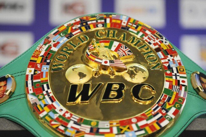 WBC вийшла із заявою після відмови Усика від титулу
