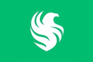 Team Falcons може повністю залишити Dota 2 — причиною називають збитковість та перехід у VALORANT